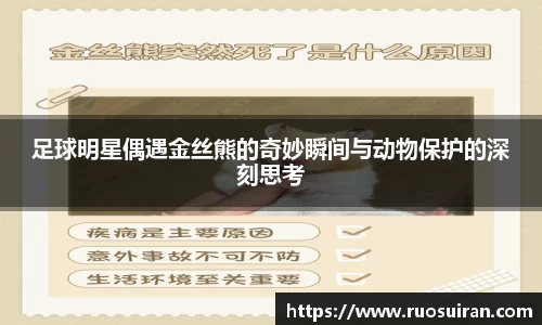 bb贝博艾弗森官方网站